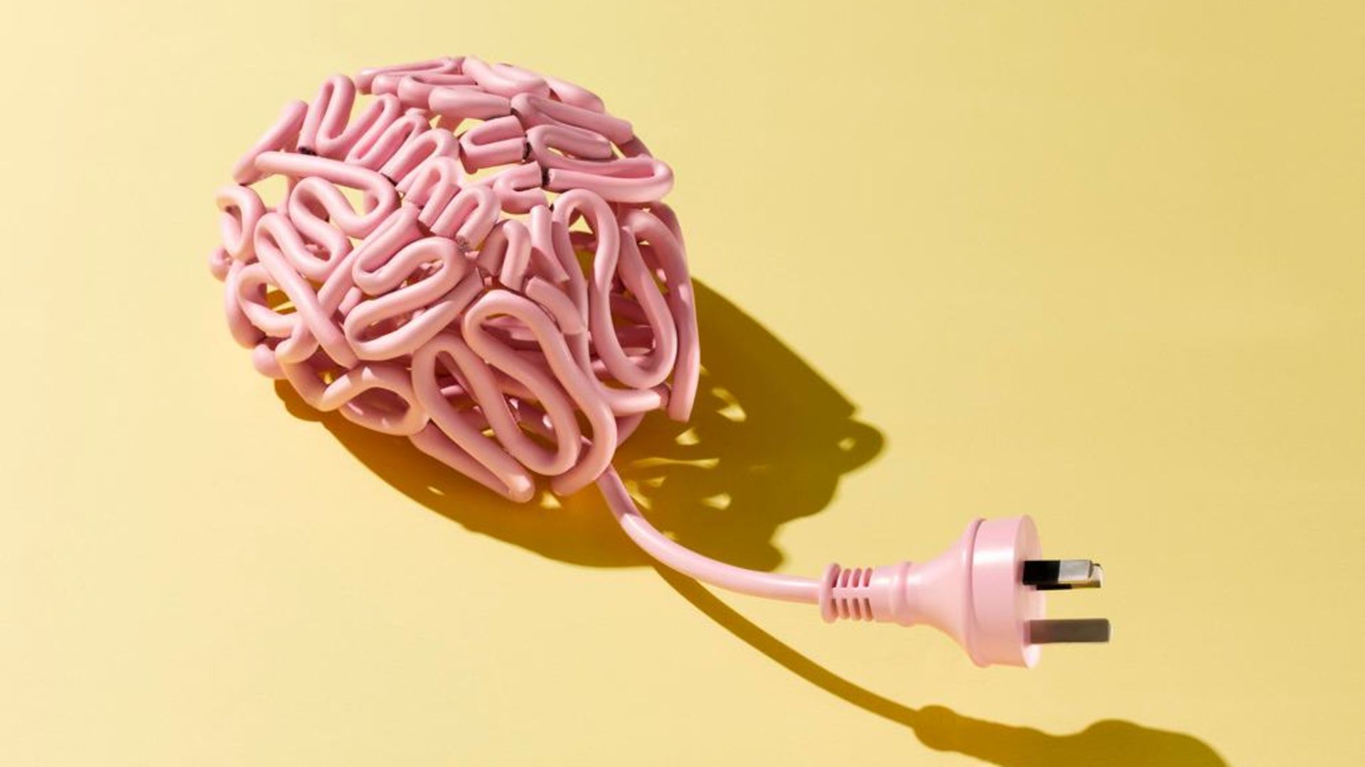 Мастурбатор В Виде Мозга