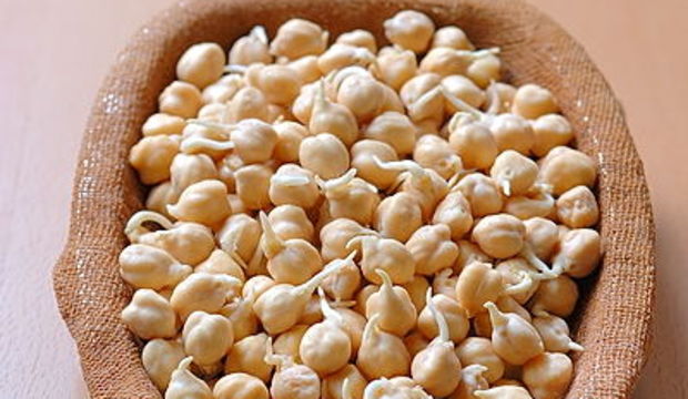 Börekaşı çorbası