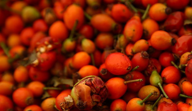 En doğal antioksidan, dolu dolu C vitamin kaynağı: Mucizevi Kuşburnu