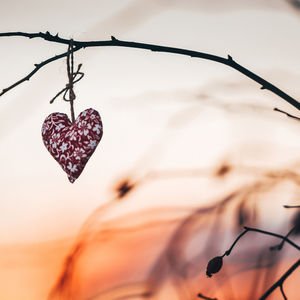  Mutluluğun sırrı düşünce gücünde