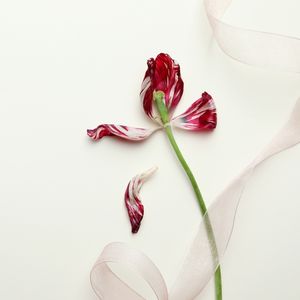 Libidonuzu yükseltmek için 8 öneri