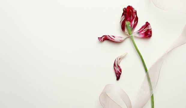 Libido (cinsel istek) nasıl artırılır?