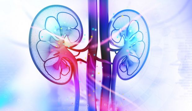 Böbrek ağrısı ve böbrek taşı