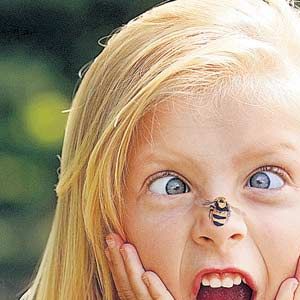 Ağustos böceğini seviyoruz!