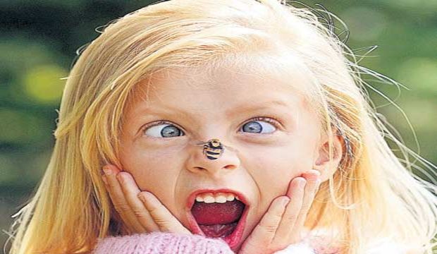 Ağustos böceğini seviyoruz!