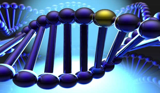 Genetik hakkında tüm merak edilenler