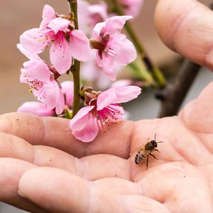 Menopozda neler olur? 