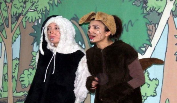 Tarzan Yağmur Ormanları