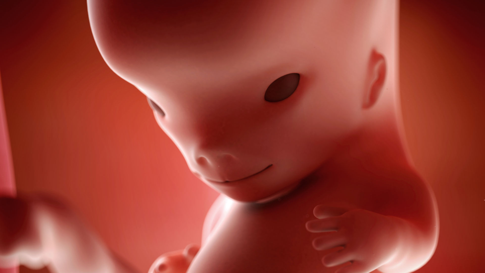 Видео 10 недели. Эмбрион ребенка в 10 недель.