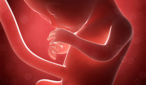 Gebeliğin 16. Haftasında Neler Oluyor?