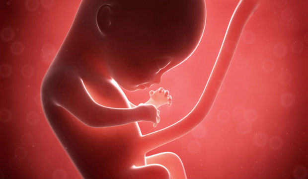 Gebeliğin 18. Haftasında Neler Oluyor?