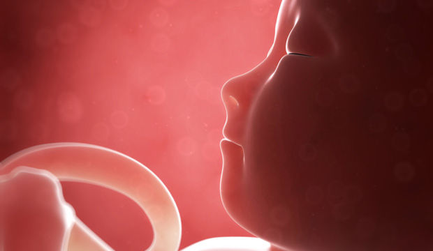 Gebeliğin 19. Haftasında Neler Oluyor?