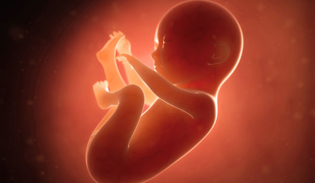 Gebeliğin 20. Haftasında Neler Oluyor?