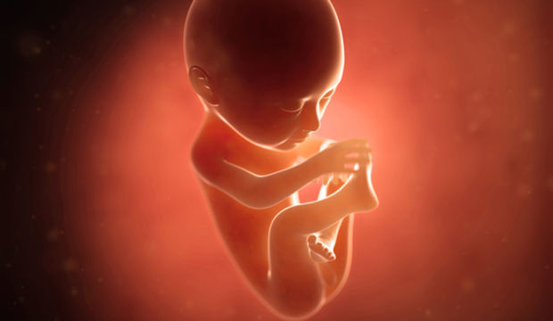 Gebeliğin 22. Haftasında Neler Oluyor?