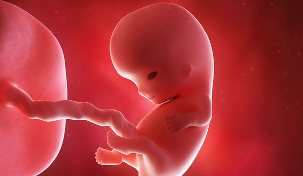 Gebeliğin 9. Haftasında Neler Oluyor?