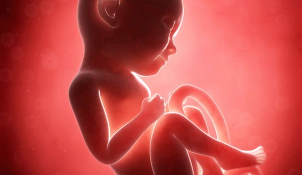 Gebeliğin 31. Haftasında Neler Oluyor?