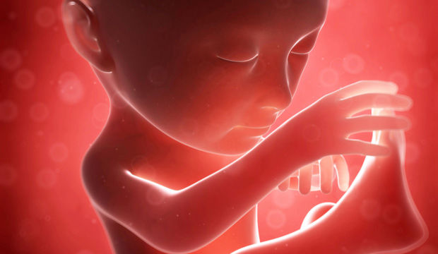 Gebeliğin 24. Haftasında Neler Oluyor?