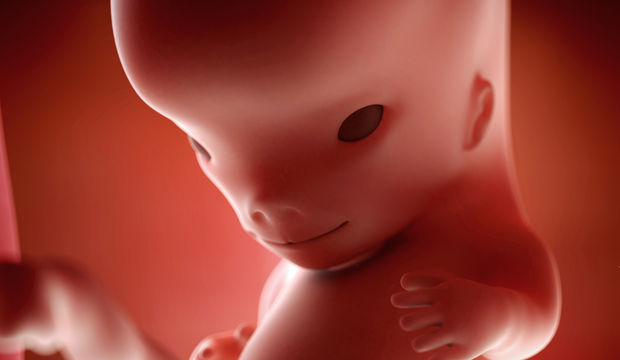 Gebeliğin 10. Haftasında Neler Oluyor?