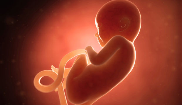 Gebeliğin 26. Haftasında Neler Oluyor?