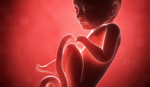 Gebeliğin 33. Haftasında Neler Oluyor?