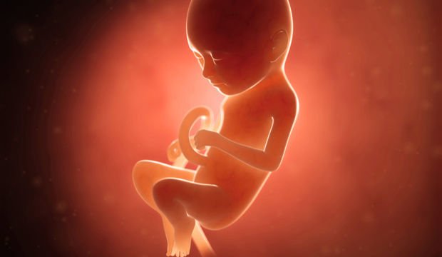 Gebeliğin 32. Haftasında Neler Oluyor?