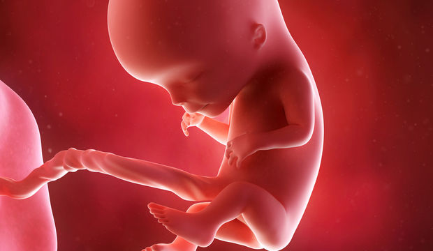 Gebeliğin 12. Haftasında Neler Oluyor?