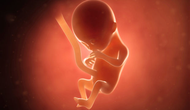 Gebeliğin 14. Haftasında Neler Oluyor?