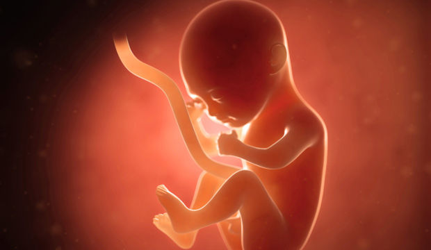 Gebeliğin 15. Haftasında Neler Oluyor?