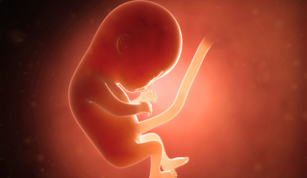 Gebeliğin 13. Haftasında Neler Oluyor?