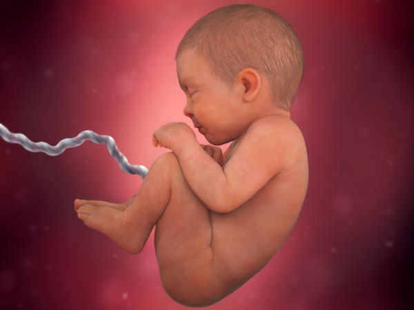 gencler yaptirim tuzak 38 haftada bebek hareketleri bilsanatolye com