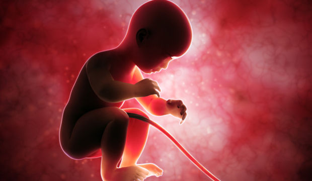 Gebeliğin 35. Haftasında Neler Oluyor?