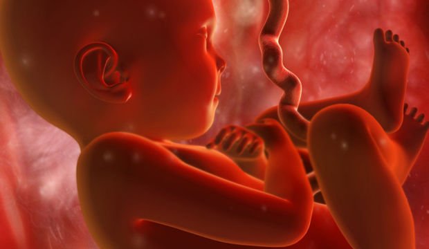 Gebeliğin 34. Haftasında Neler Oluyor?