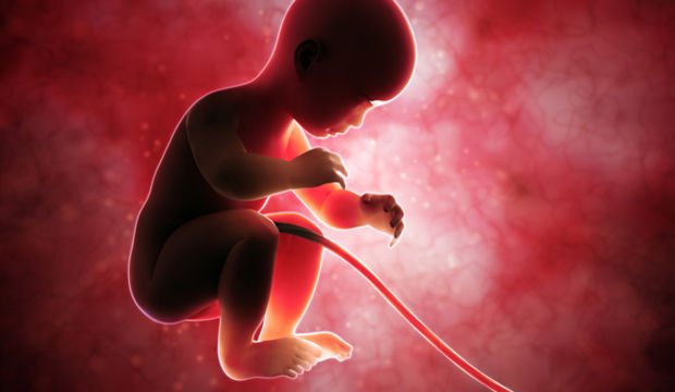 Gebeliğin 35. Haftasında Neler Oluyor?