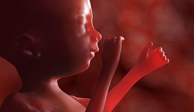 Gebeliğin 36. Haftasında Neler Oluyor?