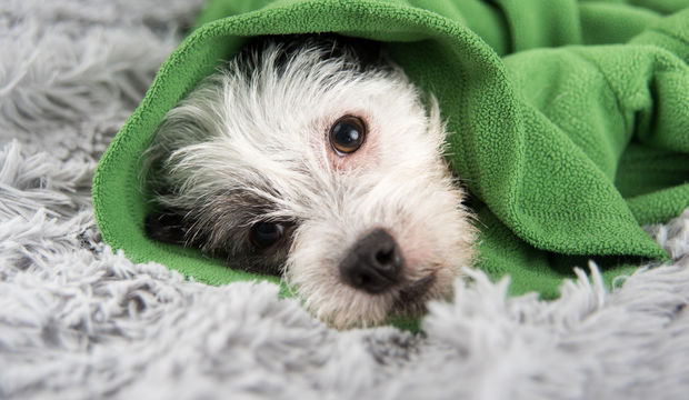 OKB (Obsesif Kompulsif Bozukluk) nedir?