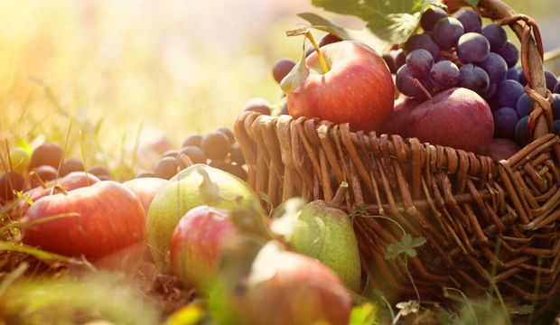 Balkonda sebze yetiştirme