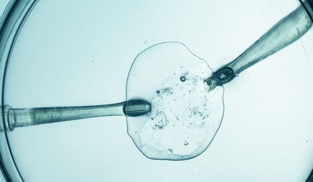 Ölen eşinin spermiyle hamile kalanlar...