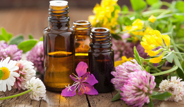 Bitkilerden gelen iyileştirici enerjiyi şişelerde!