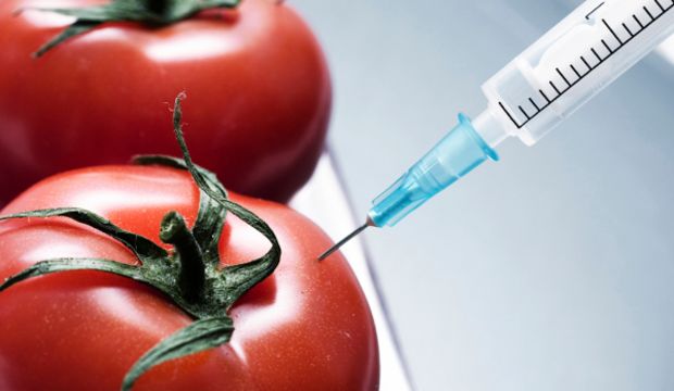 GDO insana zarar vermez mi?