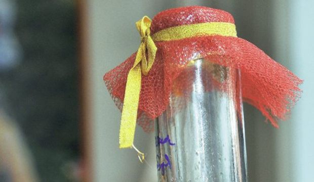 Sevgililer Günü'ne özel tüp gül üretildi!