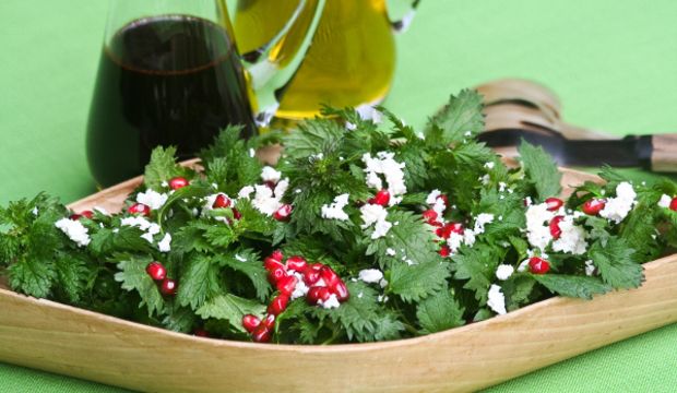 Isırgan otu salatası