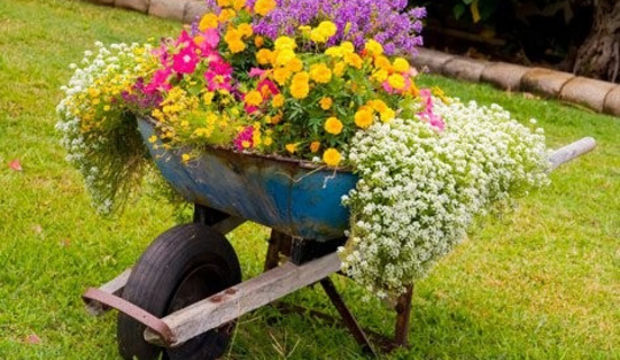 Bahçelerde bahar zamanı!