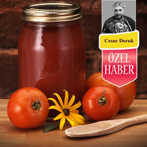 Karıncalar kışa hazırlanıyor! 