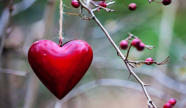 Kış bahçesi dekorasyonu nasıl yapılır?