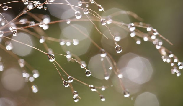 Kötü bir günü iyi hale getirmek için 5 yol