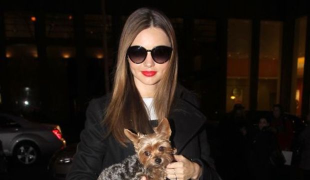 Miranda Kerr kaza geçirdi!