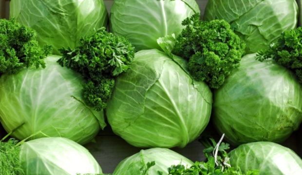 Kemik erimesine lahana...