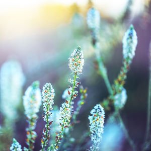 Zihinsel detoks yapmanın 5 yolu