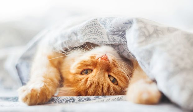 Gününüze biraz konfor eklemenin 6 yolu