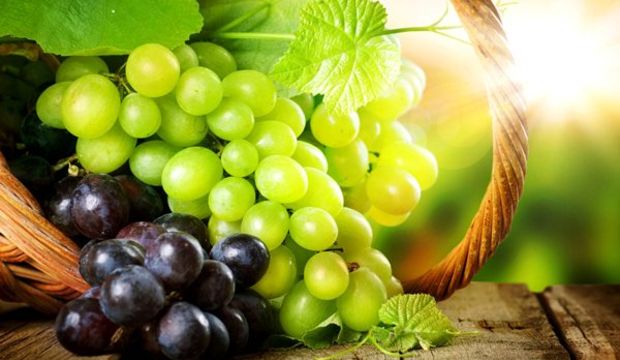 Cilt kanserini önlemede ümit veren bitkiler!